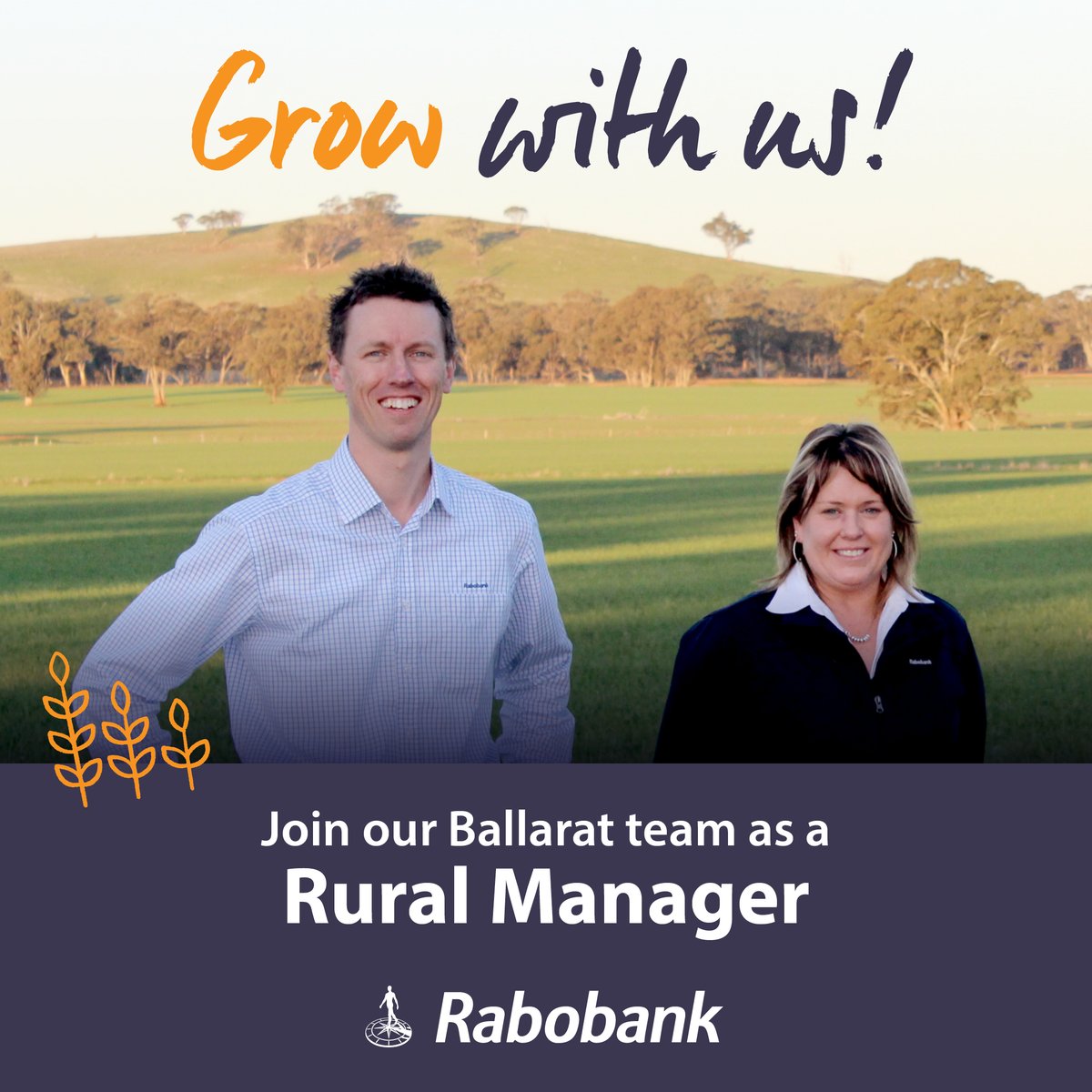 Rabobank Australia tweet media