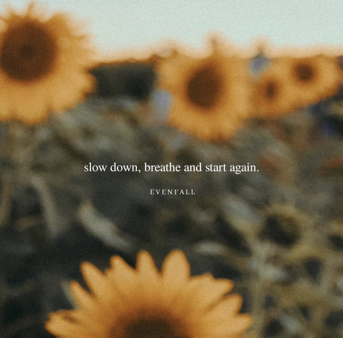 PoemHeaven's tweet photo. just breathe. https://t.co/30SHBrz4tG
