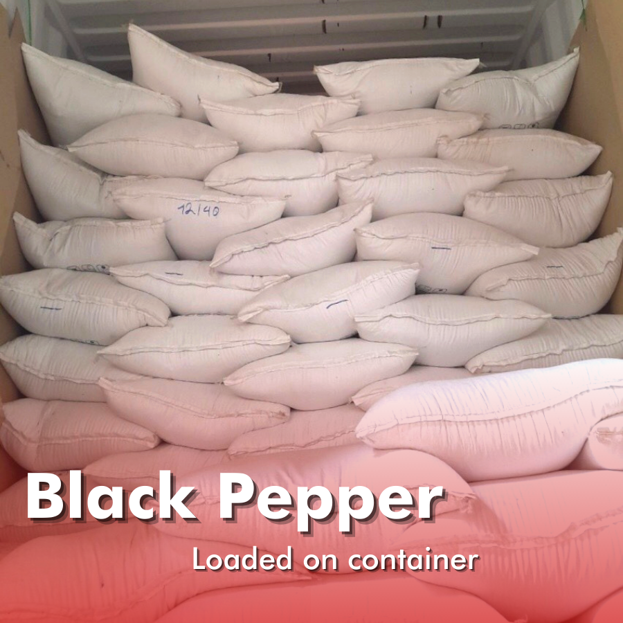 vihabavietnam's tweet photo. [Vihaba 500GL FAQ Black Pepper_Ready to ship to our customer]

Vihaba is very proud to announce that we have completed an black pepper order for our customer. 
#peppercorn #blackpepper #export #pepperexport #agriculture #import #vietnampepper #vihabaexport #vihaba #blackpepper https://t.co/7OpfPpC0Tz