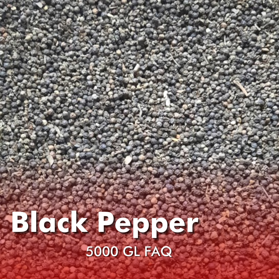 vihabavietnam's tweet photo. [Vihaba 500GL FAQ Black Pepper_Ready to ship to our customer]

Vihaba is very proud to announce that we have completed an black pepper order for our customer. 
#peppercorn #blackpepper #export #pepperexport #agriculture #import #vietnampepper #vihabaexport #vihaba #blackpepper https://t.co/7OpfPpC0Tz