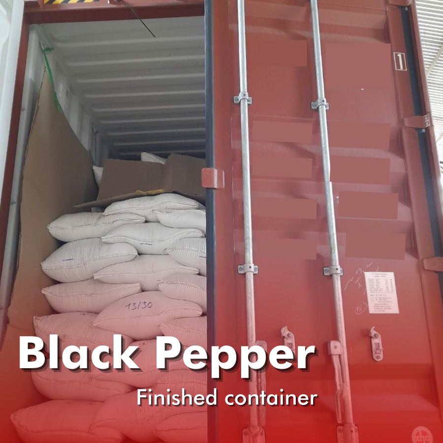 vihabavietnam's tweet photo. [Vihaba 500GL FAQ Black Pepper_Ready to ship to our customer]

Vihaba is very proud to announce that we have completed an black pepper order for our customer. 
#peppercorn #blackpepper #export #pepperexport #agriculture #import #vietnampepper #vihabaexport #vihaba #blackpepper https://t.co/7OpfPpC0Tz