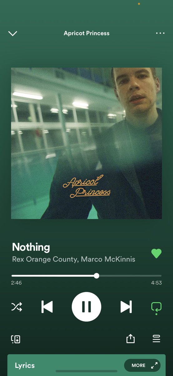 folkloreluvr4L's tweet photo. why does no one talk about this song https://t.co/hKnJZI1p49