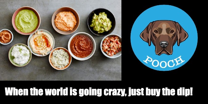 PoochFTM's tweet photo. "The truth is that millionaires are created in bear markets, not bull markets. " - @milesdeutscher
$POOCH $FTM https://t.co/86416oPeON