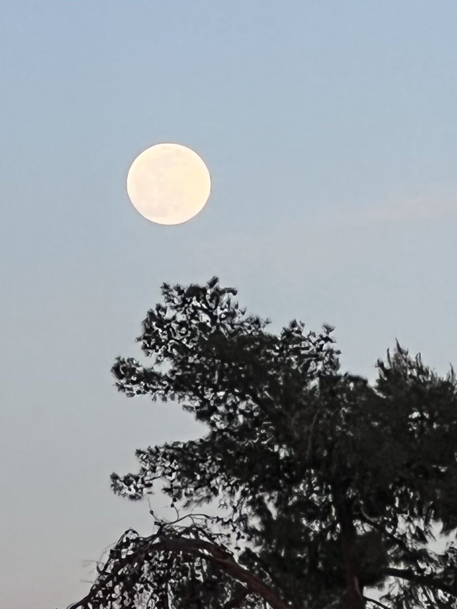 Vitrinity2's tweet photo. @DoYouEvenLif How about a moon in Vegas? Just reach out and touch it! https://t.co/Ohpl0RL5GB