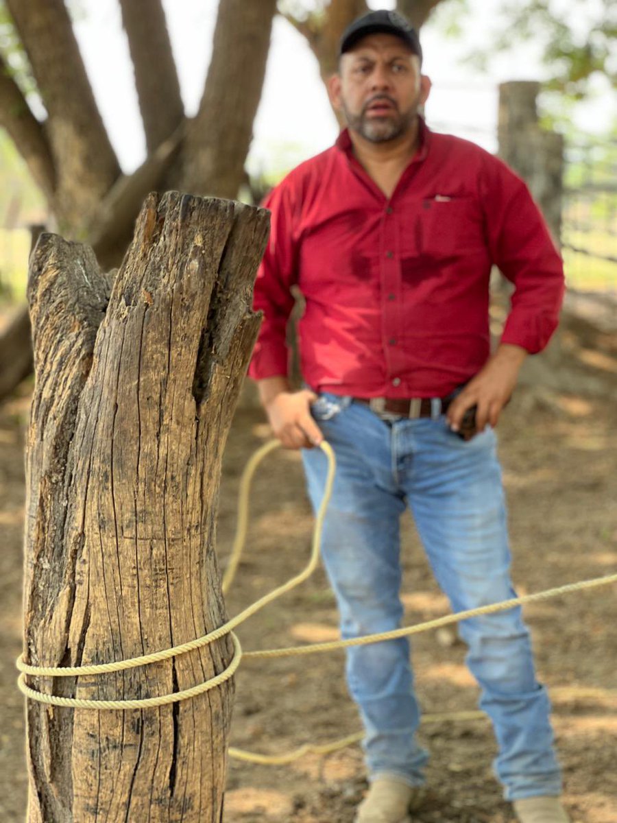 josemcalderonc's tweet photo. Domingo… 👍🏼🤩🐴 https://t.co/bWfy3oNDCt