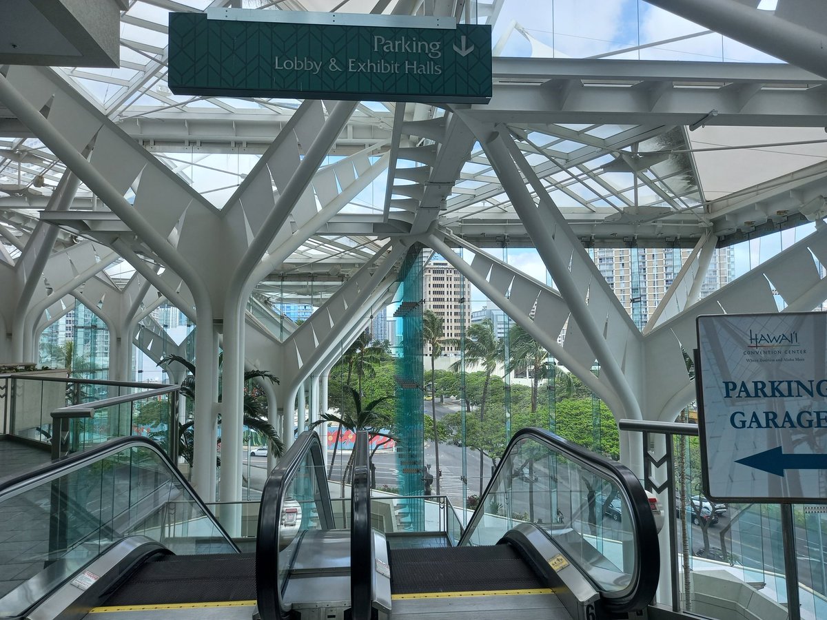 IsabellaFiorel1's tweet photo. Ready for #S22MRS in Hawaii! Join our talk on climbing plant-inspired miniature machines! #SB03 #13May @BSRiit @IITalk https://t.co/66Nw20mjx1