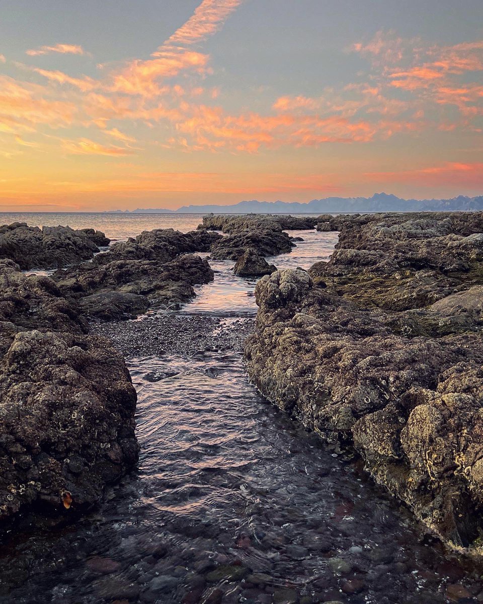 amyheiden's tweet photo. Coastline memories from Mexico. 

#heidenoutinbaja #shotoniphone https://t.co/BFLzbhZftc