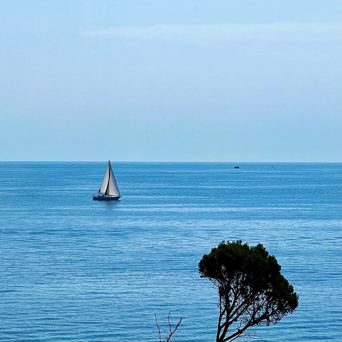 ICotedazur's tweet photo. Bonjour (photo @boidalon) #CotedAzurFrance https://t.co/UNzKiOb9zD