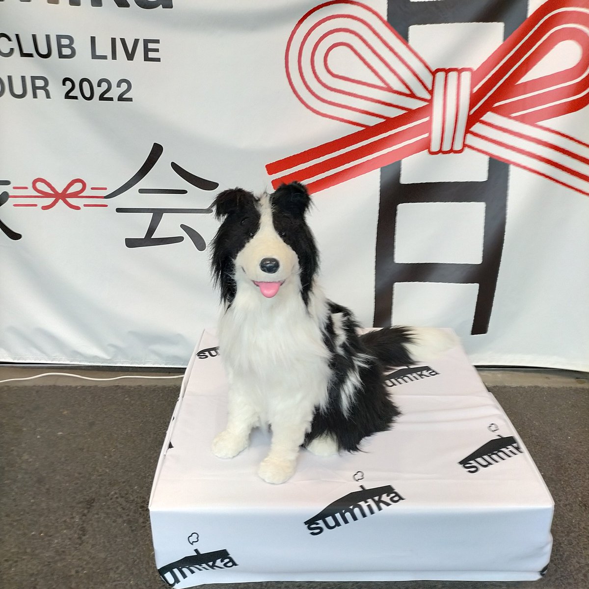 sumika_0930ken's tweet photo. いろは🐾とデート☺︎♪
sumikaとデート☺︎♡
いろは🐾大人気で順番待ちだった（ハンドパワーやりたかった😭）
実物もとんでもなくかわいかった♡

そして今日の私は、いろは🐾キャップ、いろは🐾ロンT，いろは🐾たんぽぽ靴下（足がめちゃくちゃ太く見えるのは気のせいだ。は？）
#sumika　#いろは🐾 https://t.co/2ug4iDxbo1