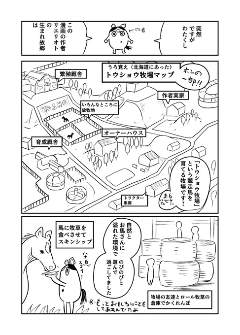 生まれ故郷の牧場の馬がウマ娘になった話。(再掲)
#スイープトウショウ生誕祭2022 