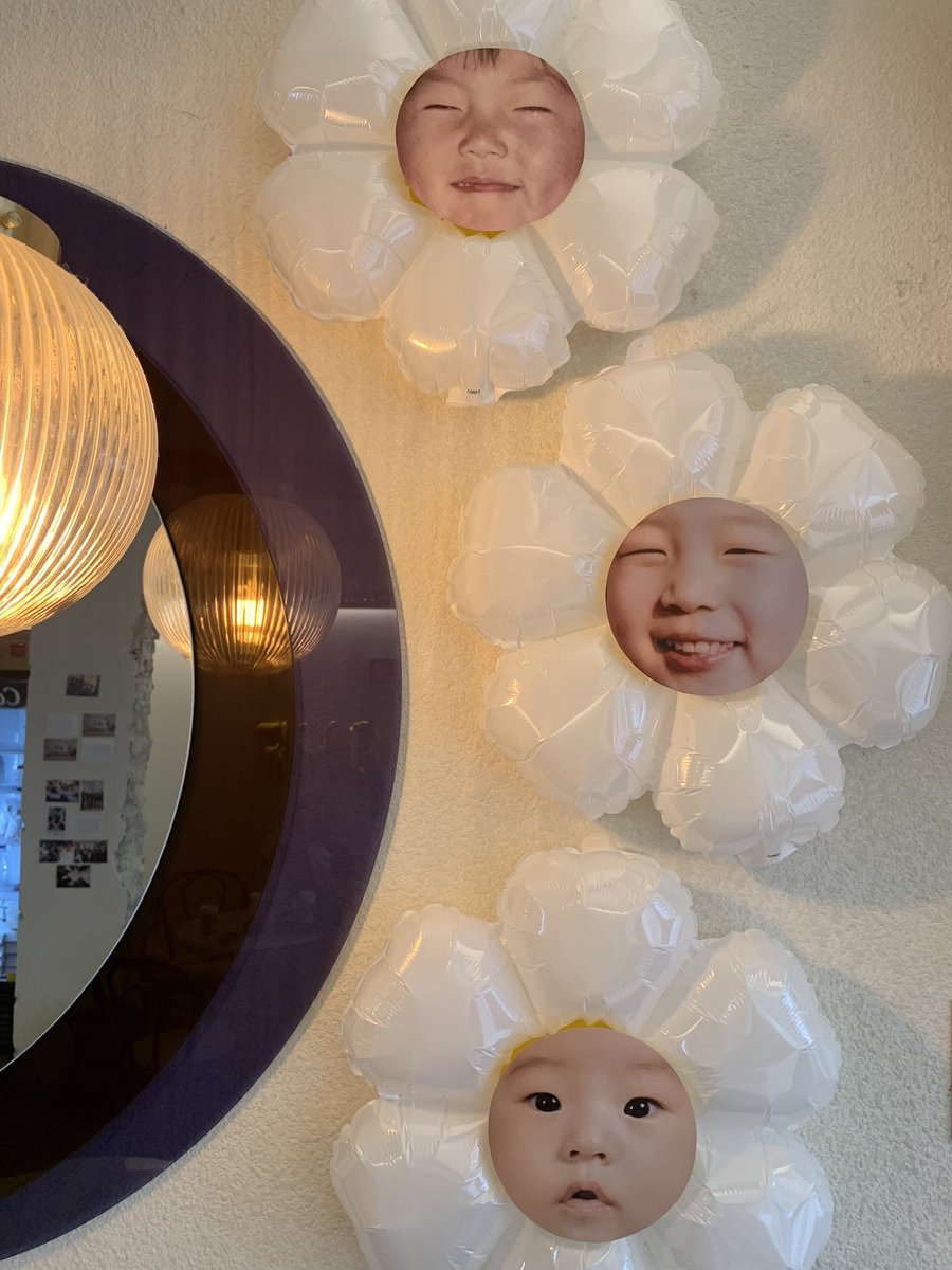 퓨구마 tweet media