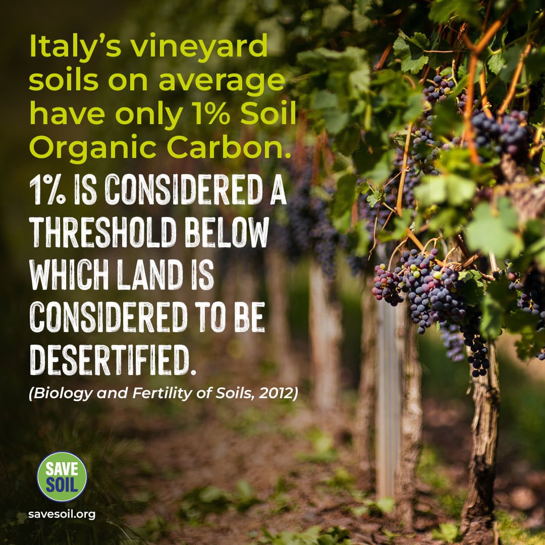 BChittoori's tweet photo. #SaveSoil,
🌳🌳🌳🌳🌳 https://t.co/HFqhMhG37y