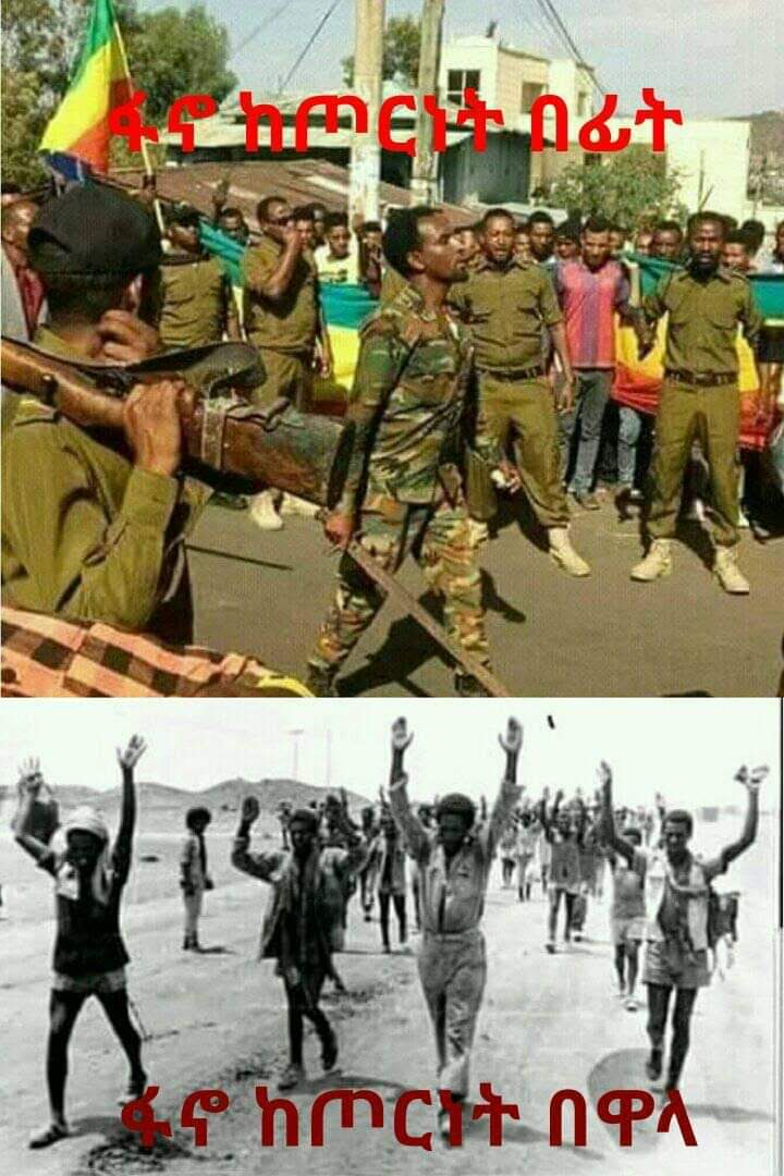 Abyssinia6195's tweet photo. @Yididya @quincymurphen @birukiee When Fano trying to snick into Tigray, this is what happened to your Fathers 😂😂😂 you people never learn 😂😂😂😂 https://t.co/TjJGzXDwe3