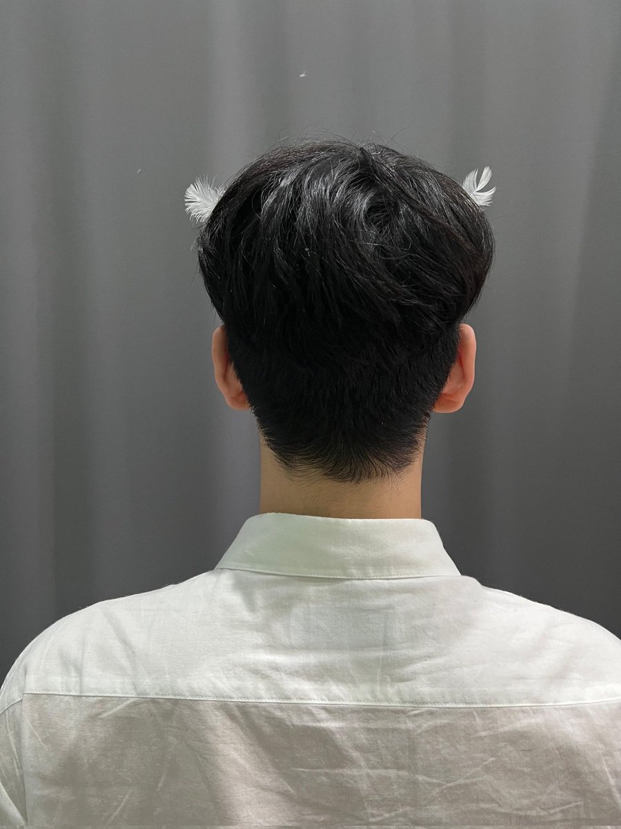 soobilov's tweet photo. le quiero acariciar el pelo que tristezs que me acaba de agarrar https://t.co/Iwd9pQ22TD