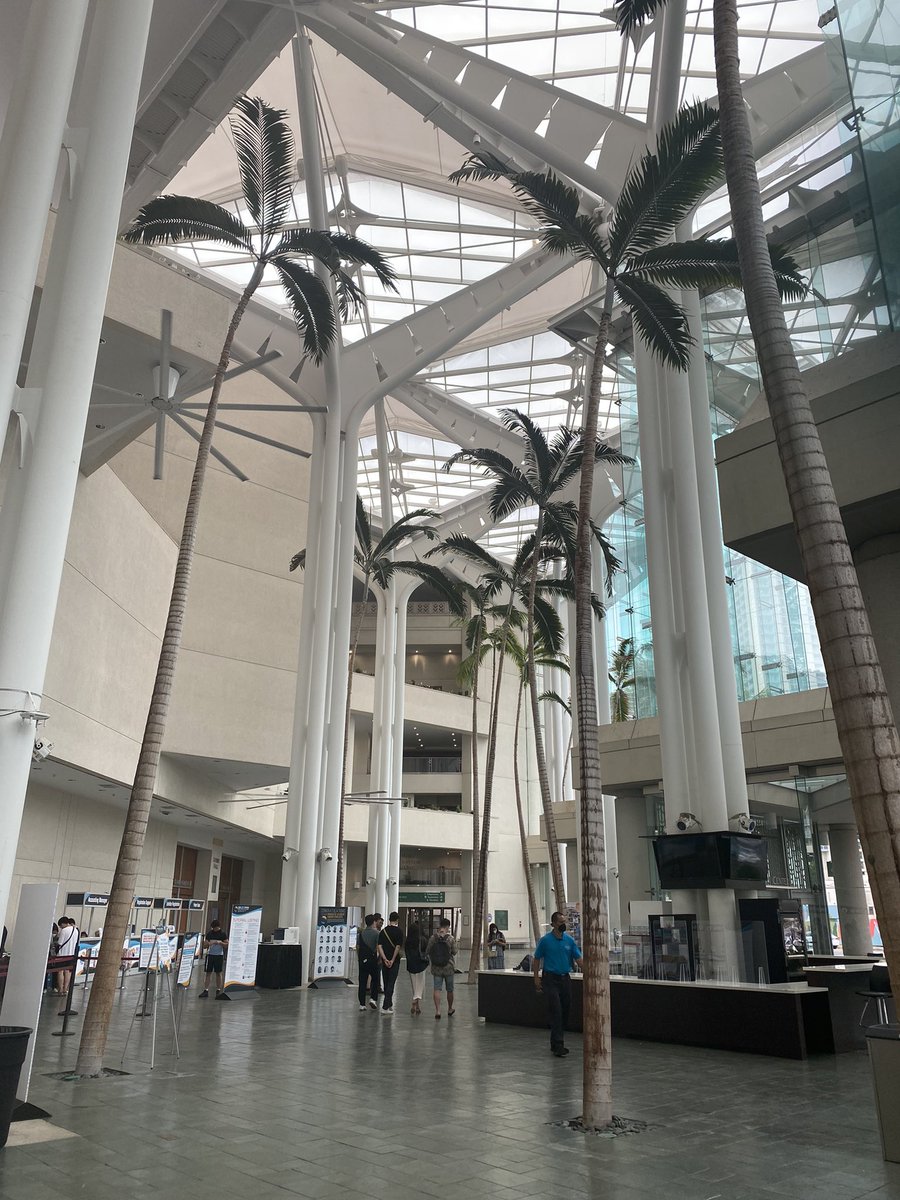 AriMazzotta's tweet photo. So excited to be at @Materials_MRS in Hawaii!🌺 Come to check our new work on plasmonic nanoparticles invisible ink for thermo-enabled applications on May 9th! #22MRS https://t.co/9peGFCvCCD