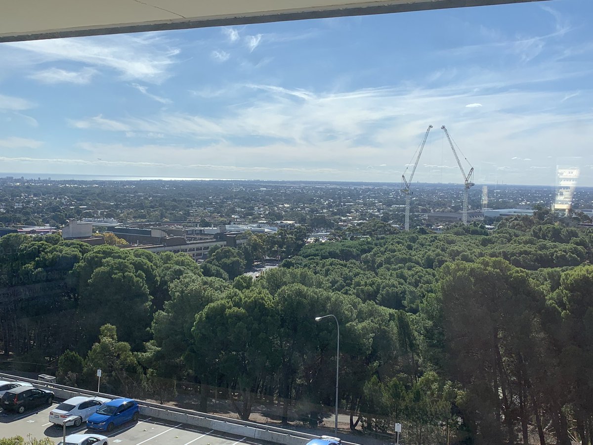 LizWalkleyHall's tweet photo. Level 3 @FlindersLib northern study carrels fully occupied this afternoon, completely understandable with this view as inspo!
#ViewFromTheLibrary @Flinders https://t.co/FizPIcPqOc