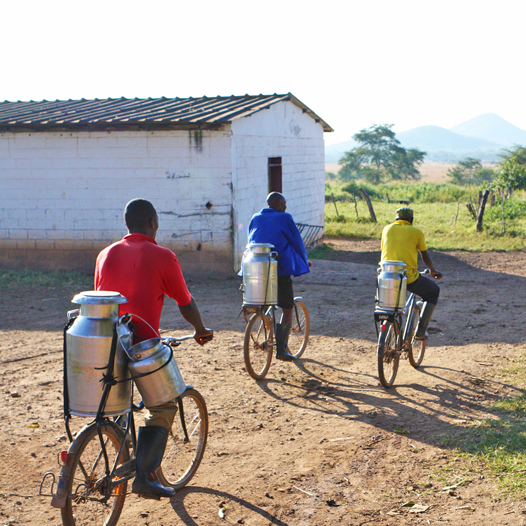 World Bicycle Relief Australia tweet media