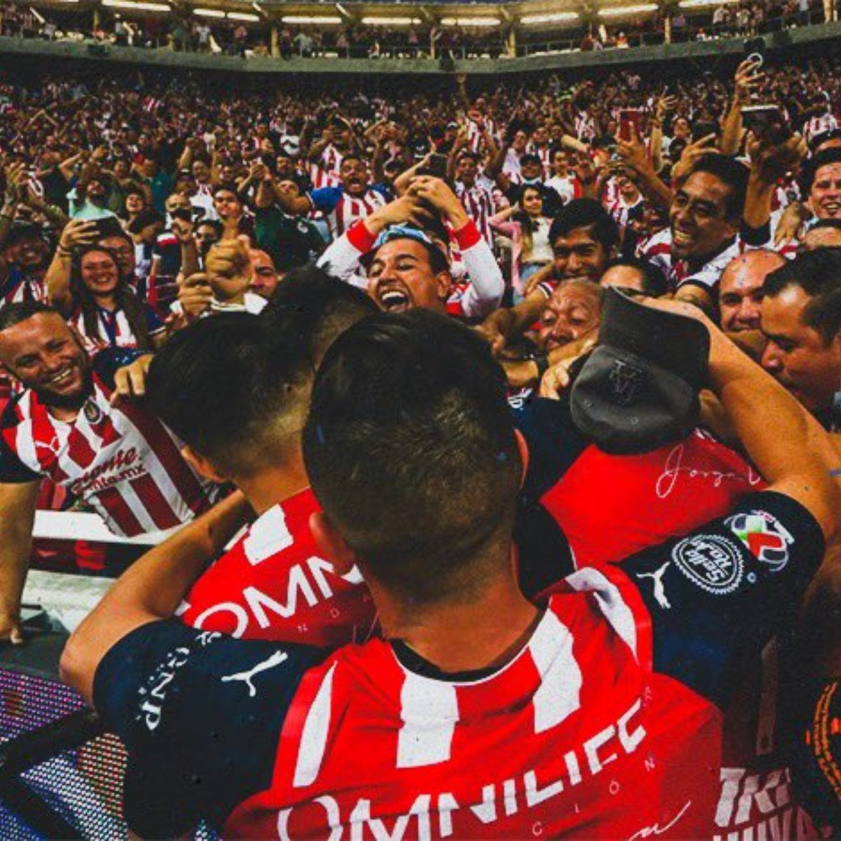 alejand09262341's tweet photo. Antes que termine el día felicidades al equipo de mis amores @Chivas @ChivasFemenil #116Chivas #Chivas116Aniversario https://t.co/DgnZ1k1dxV