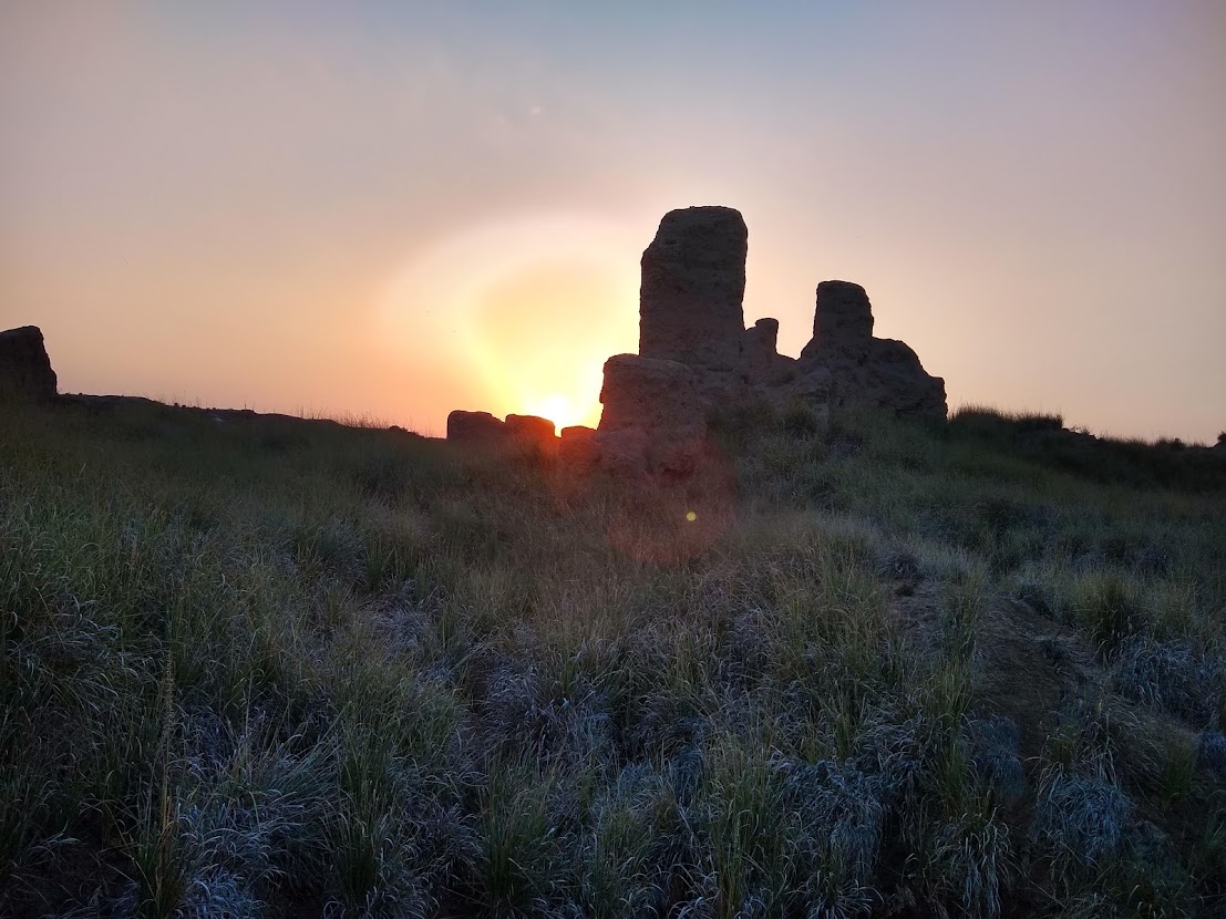 DrJESilverstein's tweet photo. The lure of the past. After 2 years, including being locked in a sanitarium in Siberia, isolation, and a self-exile from Russia leaving behind my net worth, I am finally on my way back to Egypt to start a new season of discovery! #telltimai #egyptology #Archaeology https://t.co/KCPTGSJYku
