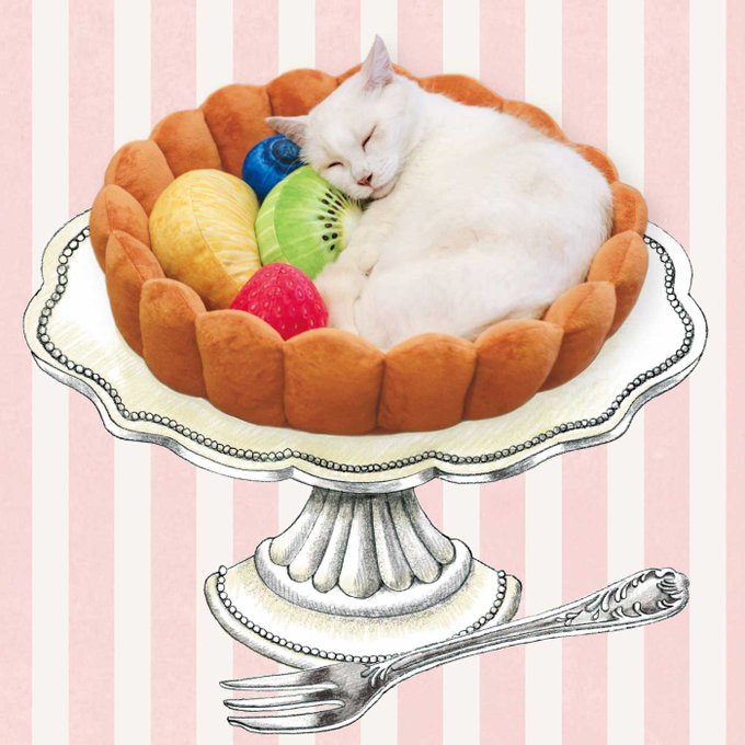 昨日の『がっちりマンデー!!』さんで、フェリシモをご紹介いただきました～😍猫部も登場しております🐈

見逃し配信はこちら⇒https://t.co/EubUS56LXa
※配信は5月15日(日)7:29 まで。 