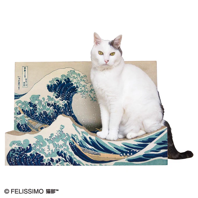 昨日の『がっちりマンデー!!』さんで、フェリシモをご紹介いただきました～😍猫部も登場しております🐈

見逃し配信はこちら⇒https://t.co/EubUS56LXa
※配信は5月15日(日)7:29 まで。 