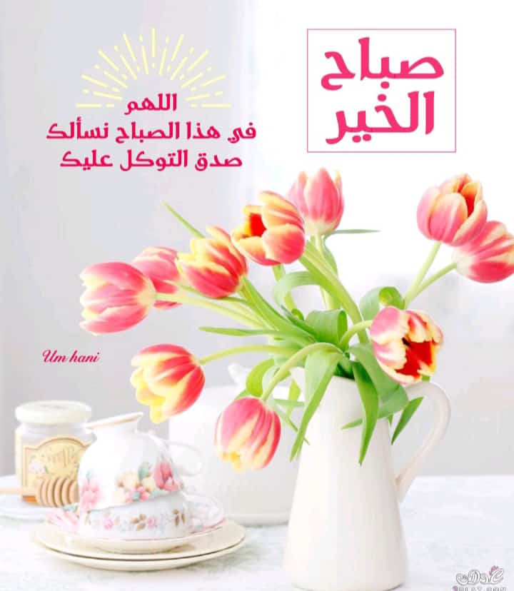 aymn989's tweet photo. https://t.co/dXqGI1Sg5w