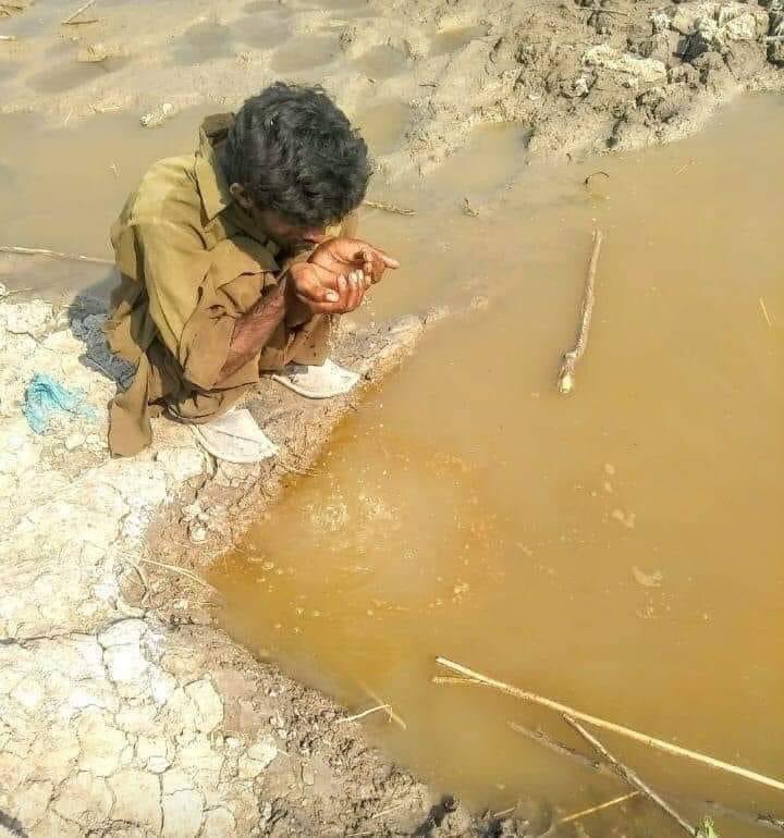 adilsoomro09's tweet photo. کرسی ہے تمہارا یہ جنازا تو نہیں ہے،
کچھ کر نہیں سکتے تو اتر کیوں نہیں جاتے.

سنڌ جو پاڻي بند ڪري يزيد وارو ڪردار ادا نہ ڪريو
#SindhNeedsWater https://t.co/ty6JFS0id0