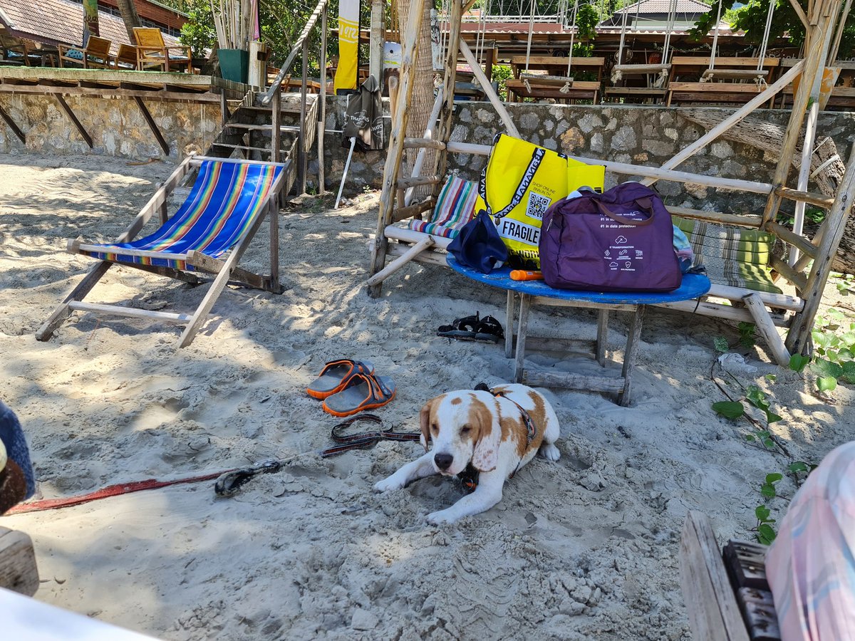 Stever_wales's tweet photo. Rest after a morning swim #driftbar https://t.co/4CbUQ6JMKJ