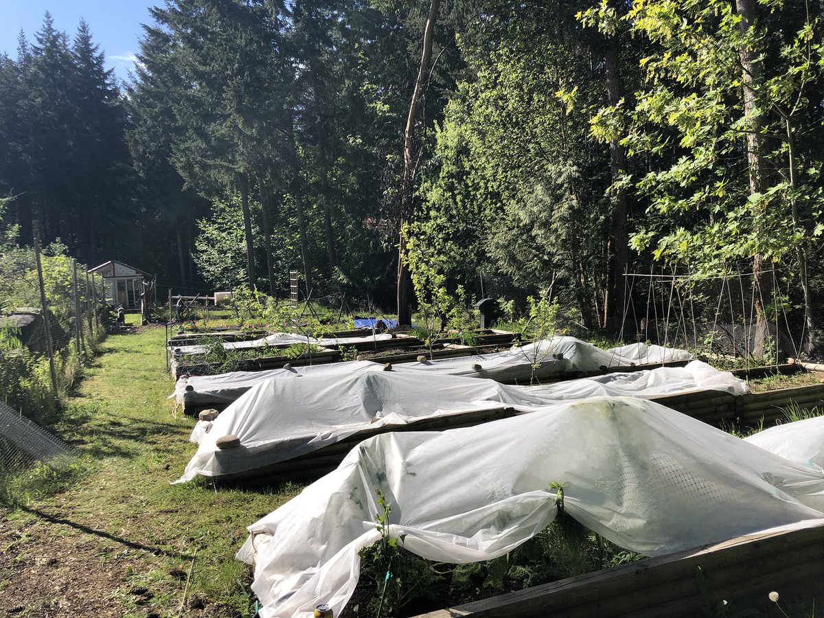 Dr. Jennifer Grenz tweet media