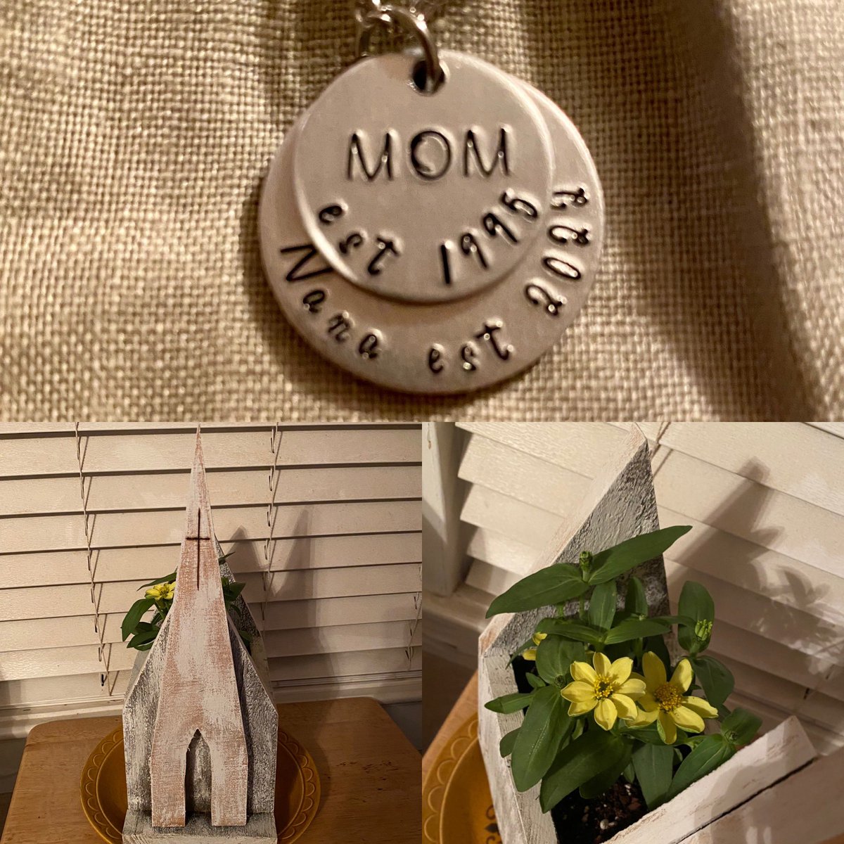 HytMom's tweet photo. I love my planter, but I adore my necklace. I am so blessed to be Mary Elizabeth, William, Caleb, and Jessi's Mom. I am so excited about holding Collins. #Nana #10MoreWeeks https://t.co/8hDowrCP8k