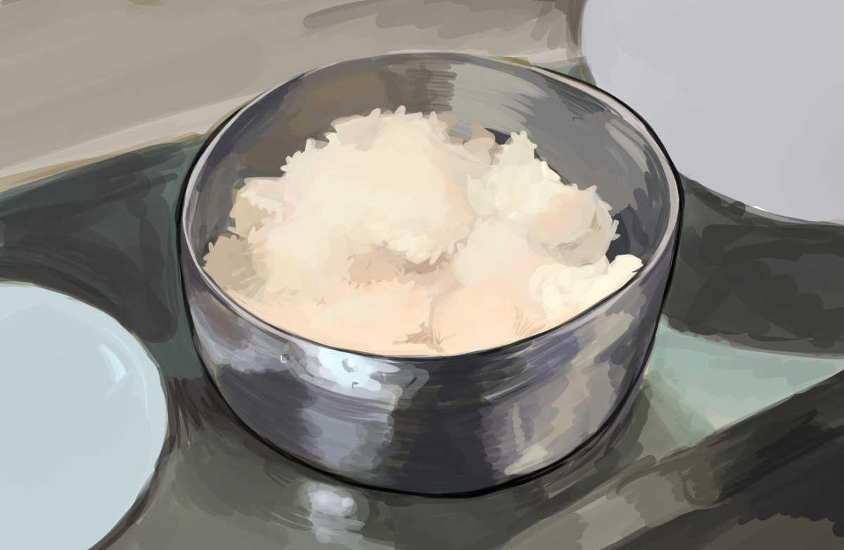 「Rice Study 」|Saiykikのイラスト