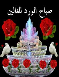 🌿إبن غرباوى 🌿 tweet media