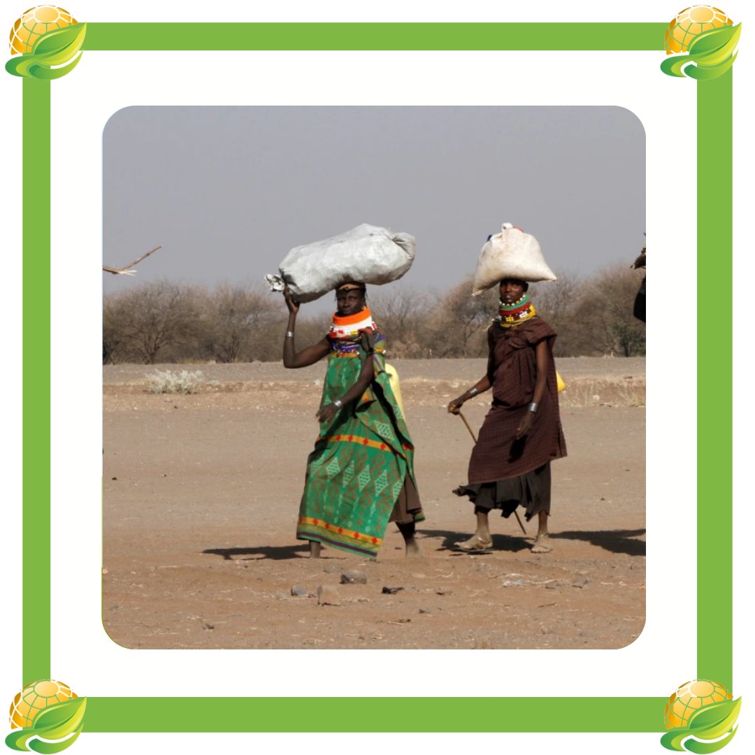 GreenActionSo's tweet photo. By 2050, Africa could see as many as 86 million climate refugees according to the World Bank’s Groundswell report.
Communities already on the edge of survival are being propelled to starvation and famine.
#greenactionkenya #climaterefugees #climate2050 #extinctionrebellion https://t.co/iuLJniEESV
