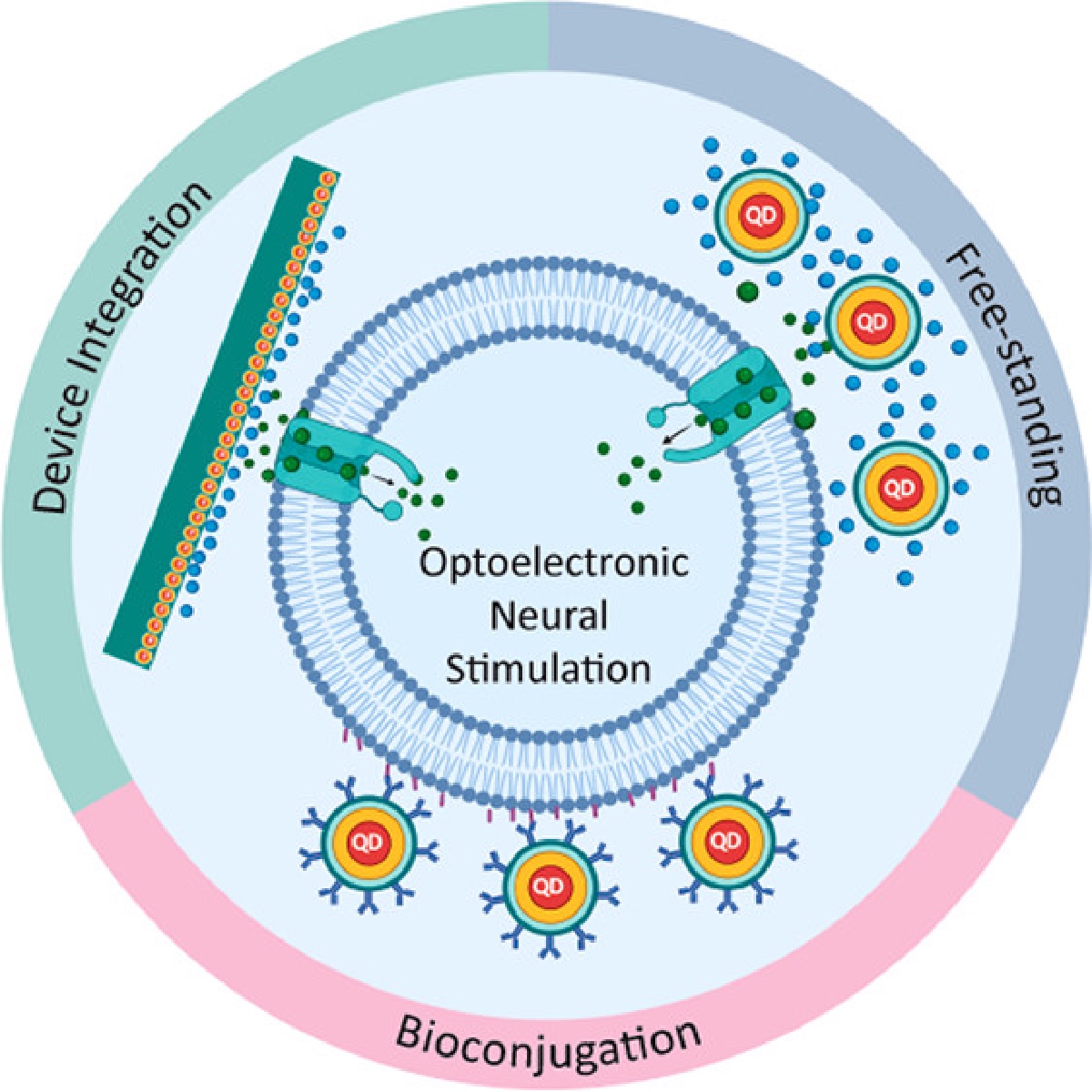 ACS Applied Materials & Interfaces tweet media