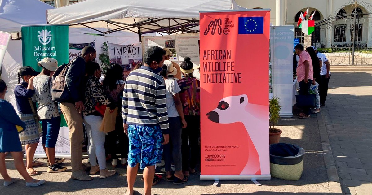 IUCNsos's tweet photo. Last week, we were in Madagascar for the European Union Project Day!
We spotlighted three African Wildlife projects, co-funded by @EU_Partnerships, and more than 300 visitors dropped by our stand to talk with the team. Thanks to everyone that came to see us!
#KeepNatureStanding https://t.co/JbpBTIz5p4