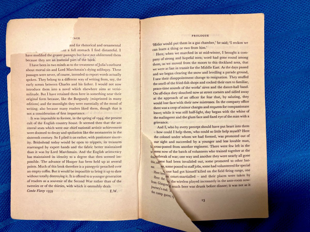This is criminal:
Destroying the first 12 pages of a communal copy of Brideshead Revisited and thus making the story start with “Hitler would put them in a gas chamber”.

Don’t do it, kids.