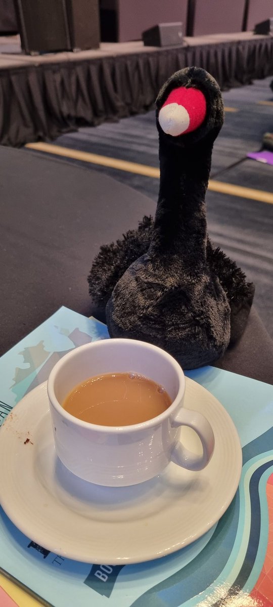 RenaeLBarker's tweet photo. Debating bills at General Synod. Lots of cups of tea shall be required #gs18 https://t.co/CoQW1mz7ga