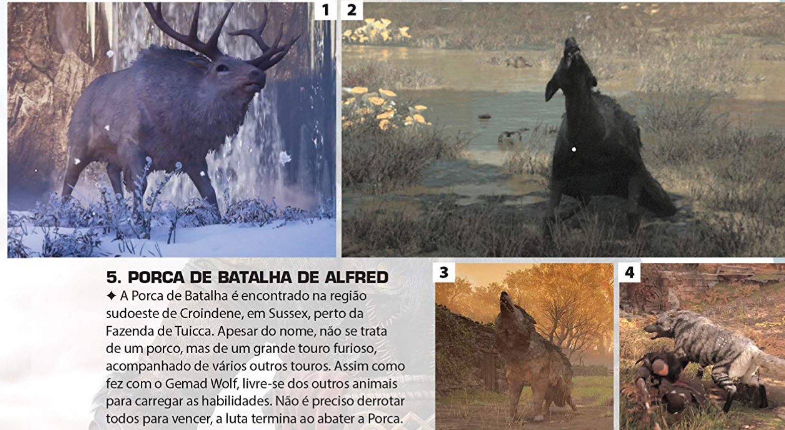 FSSrBZjXEAAVq7j?format=jpg&name=large