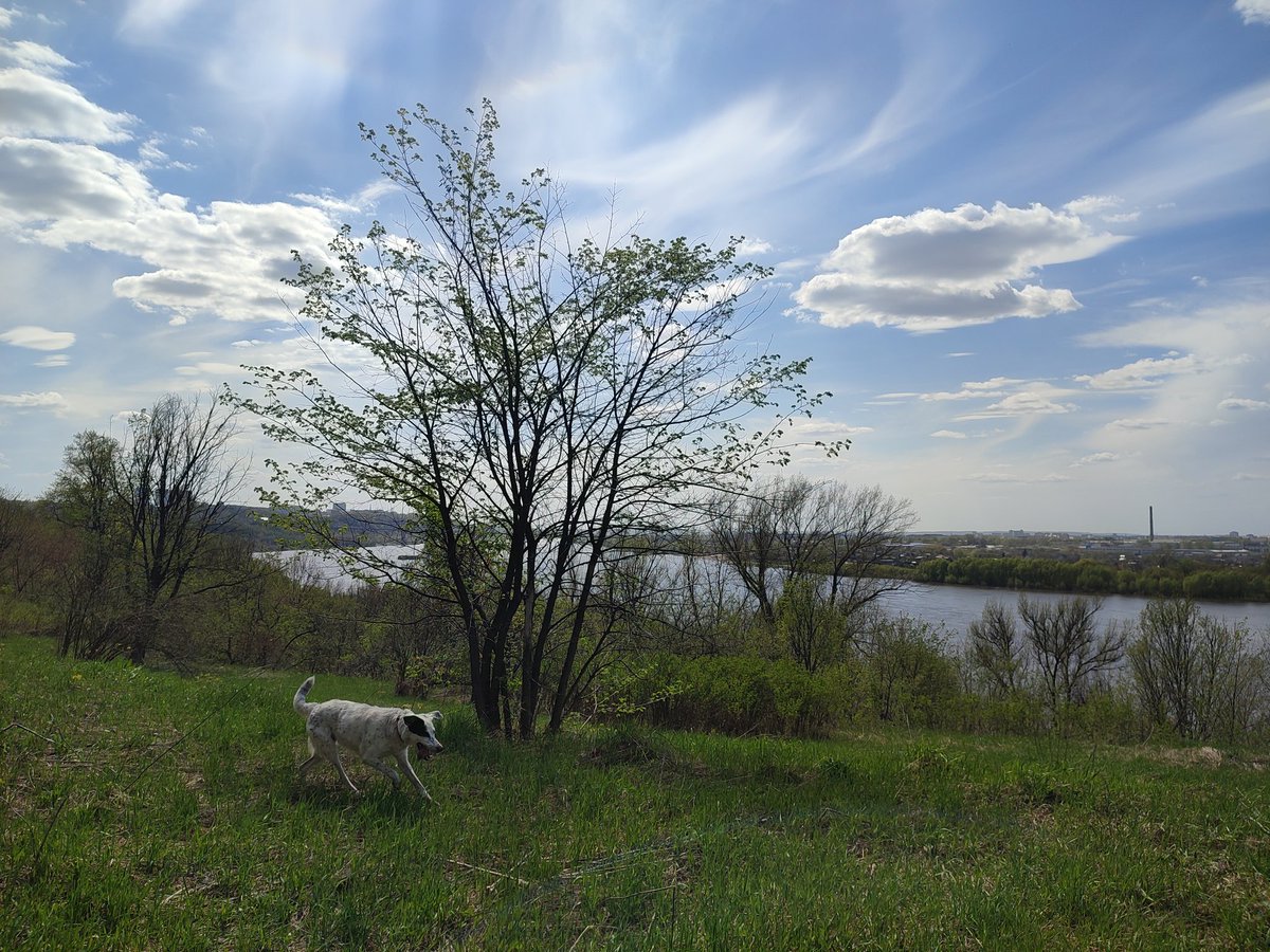 ✨💖✨ tweet media