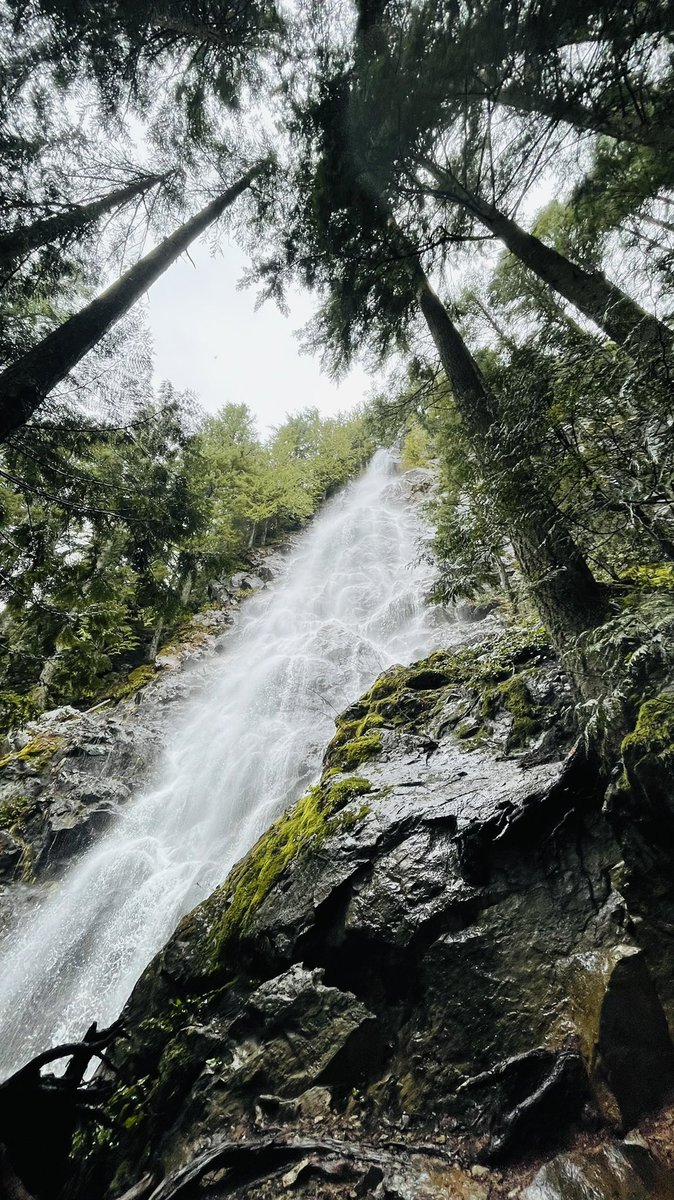ChandiniB's tweet photo. The Teneriffe Falls took my breath away. 🌊
I loved the idea of hiking but I was apprehensive about getting started. Turns out all you need is to start easy with a couple of friends and work your way up! (pun intended)
#PNW #Washington #TeneriffeFalls #Hike2 🥾 https://t.co/OGCLW1fUrD