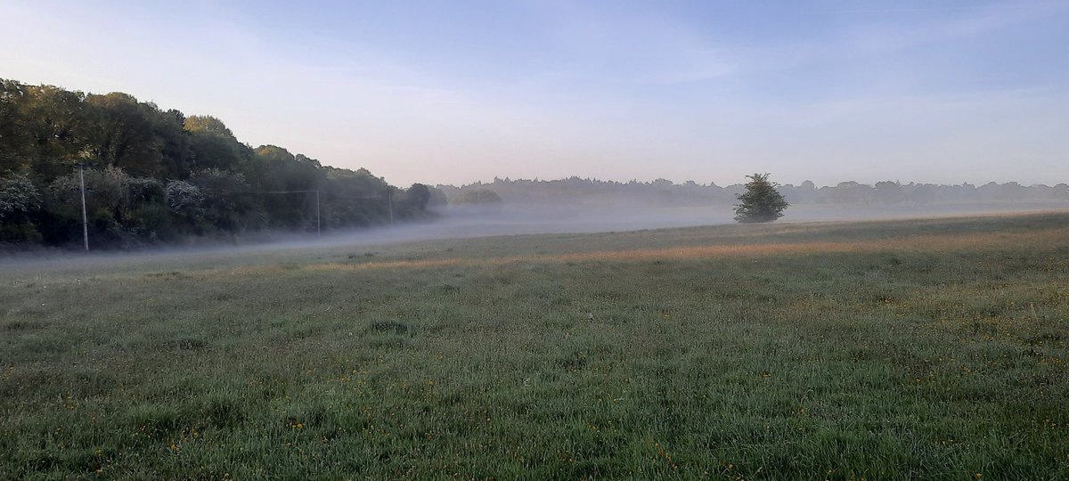 akajools's tweet image. Beautiful    morning