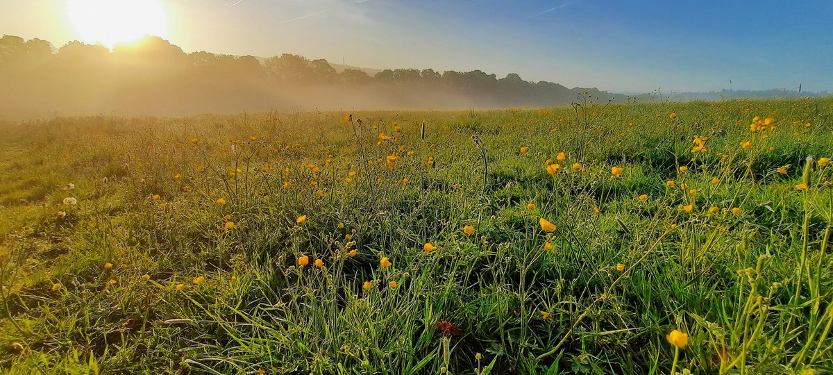 akajools's tweet image. Beautiful    morning