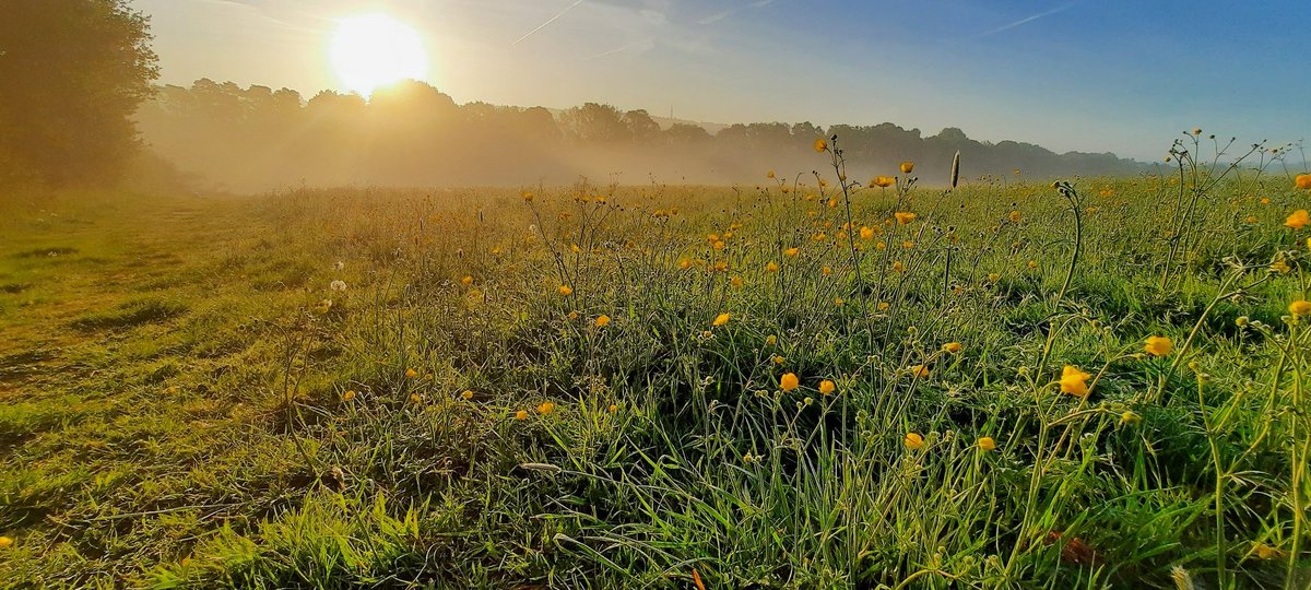 akajools's tweet image. Beautiful    morning