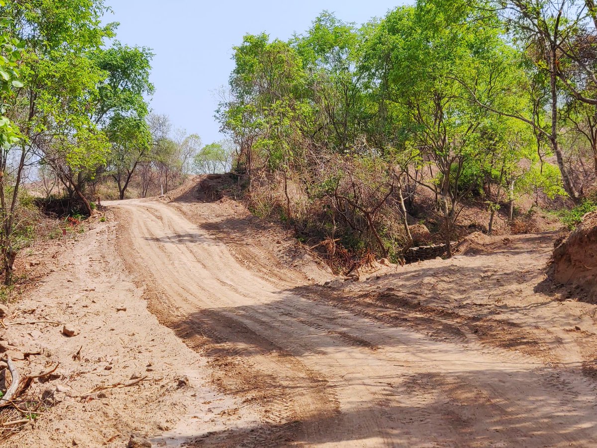 TaruniGandhi's tweet photo. At one side, @PunjabGovtIndia vouching against illegal encroachments and on the other side, under the umbrella of same govt, just few miles away from @CMOPb office n residence, hundreds acres of #forest land is encroached already and this is #Masol Road.. 1/2 @lalchand22369 https://t.co/kf6IfSC9g4
