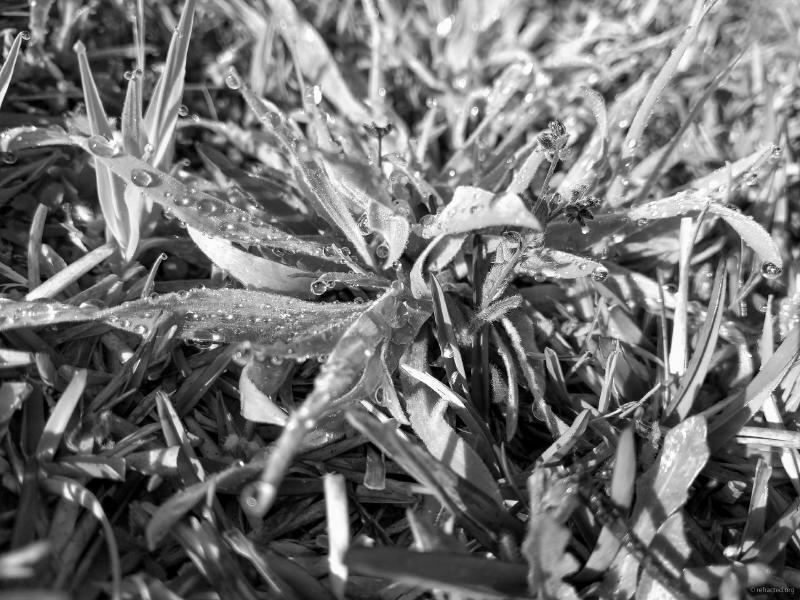 Gareth Lennox tweet media