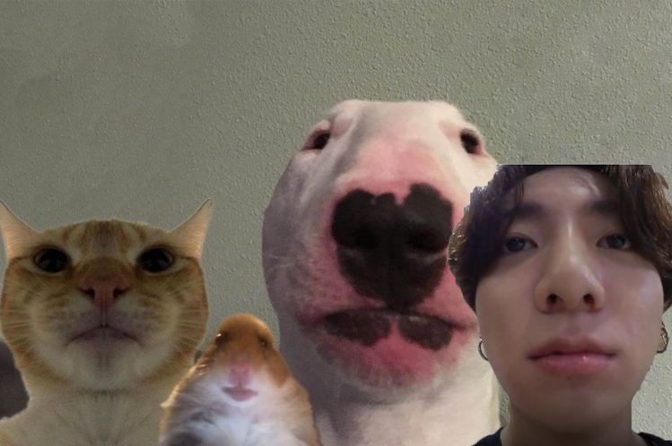 fangirlthots69's tweet photo. School has got me wanting to throw up because of how anxious I am about my final gradesโฆ I should not be feeling like this๐๐๐
#finals #finalsweek #throwingup #Thursdays_Child #IHateMondays #killmeplz #imAnxious #depression #hatemylife #txtiskeepingmesane https://t.co/nfK1sxR1md