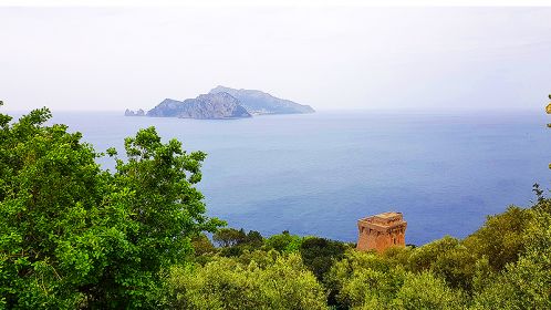 NauticaReport's tweet photo. Area Marina Protetta Punta Campanella (NA)
https://t.co/lGSsfHlYht
#puntacampanella #amp #napoli #promontorio #storia #Mito #natura #turismo https://t.co/xwYKdWnr0R