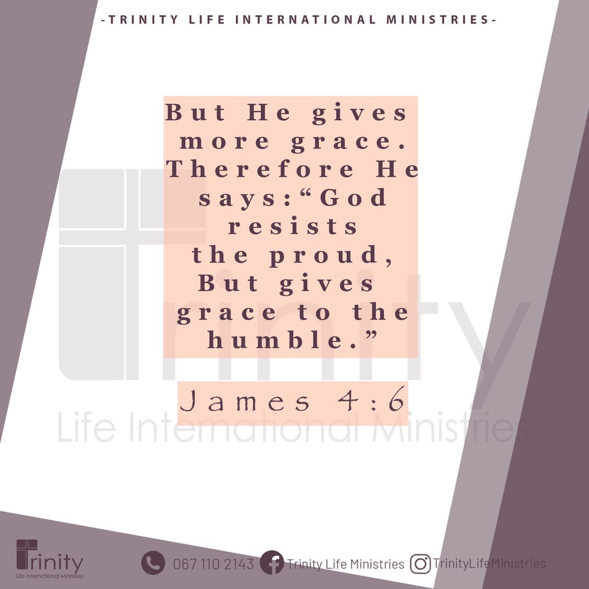 TrinityLifeInt's tweet photo. Have a blessed week 😇🙏🏽❤️🙌🏾
:
:
:
#mondaymotivation #wordofgod #trinitylifeministries #instagood #blessed #newweek https://t.co/SwDunskWQb