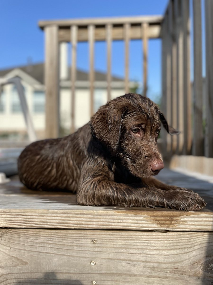 benford_taylor's tweet photo. mommas handsomest boy❤️ https://t.co/tKS8R4Vcoz