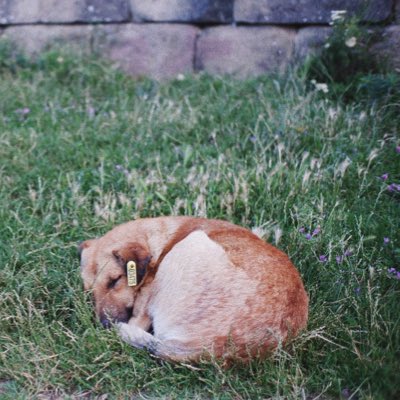 0xnightingal's tweet photo. #NewProfilePic https://t.co/oytqIHtEmS